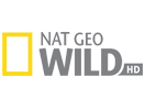 Nat Geo Wild HD hol vehető?
